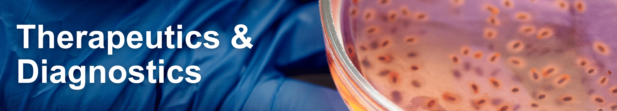 Therapeutics & Diagnostics Therapeutics & Diagnostics