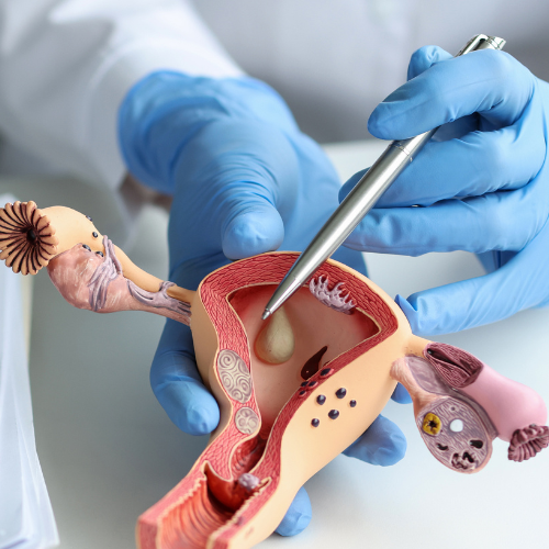 Canva Design DAF6rBwNarc