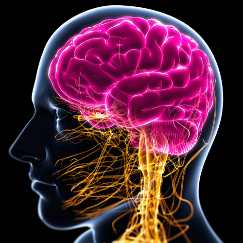 Canva Design DAF6rIhsats