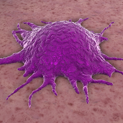 Canva Design DAF6rP-KYF8