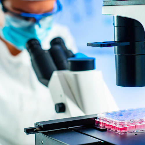 Canva Design DAF6u8KImWI