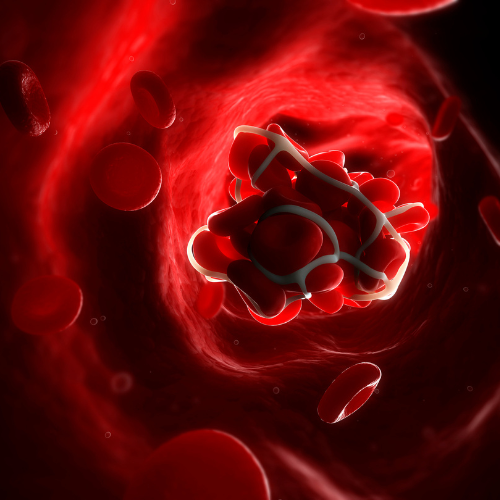 Canva Design DAF6uqdZb1k