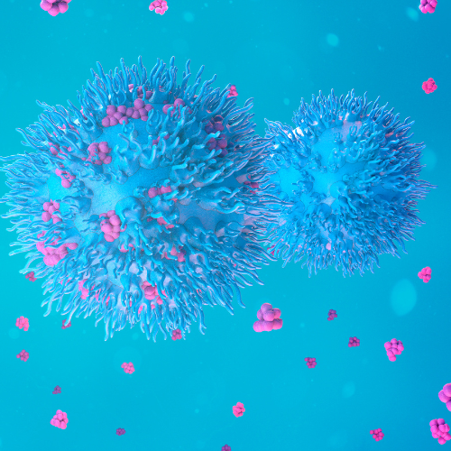 Canva Design DAF6uzDT12I