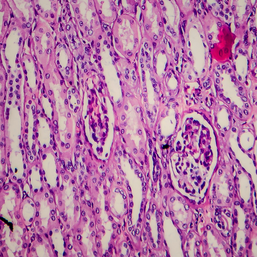 Canva Design DAF6uzdPkck