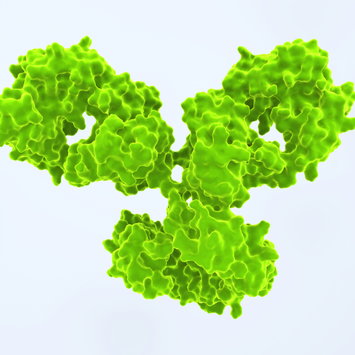 Canva Design DAF8Ure99y8