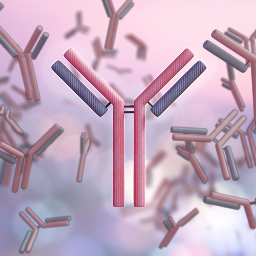 Canva Design DAGk8rKnRRY