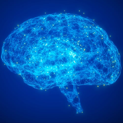 brain-gettyImages-1318597202