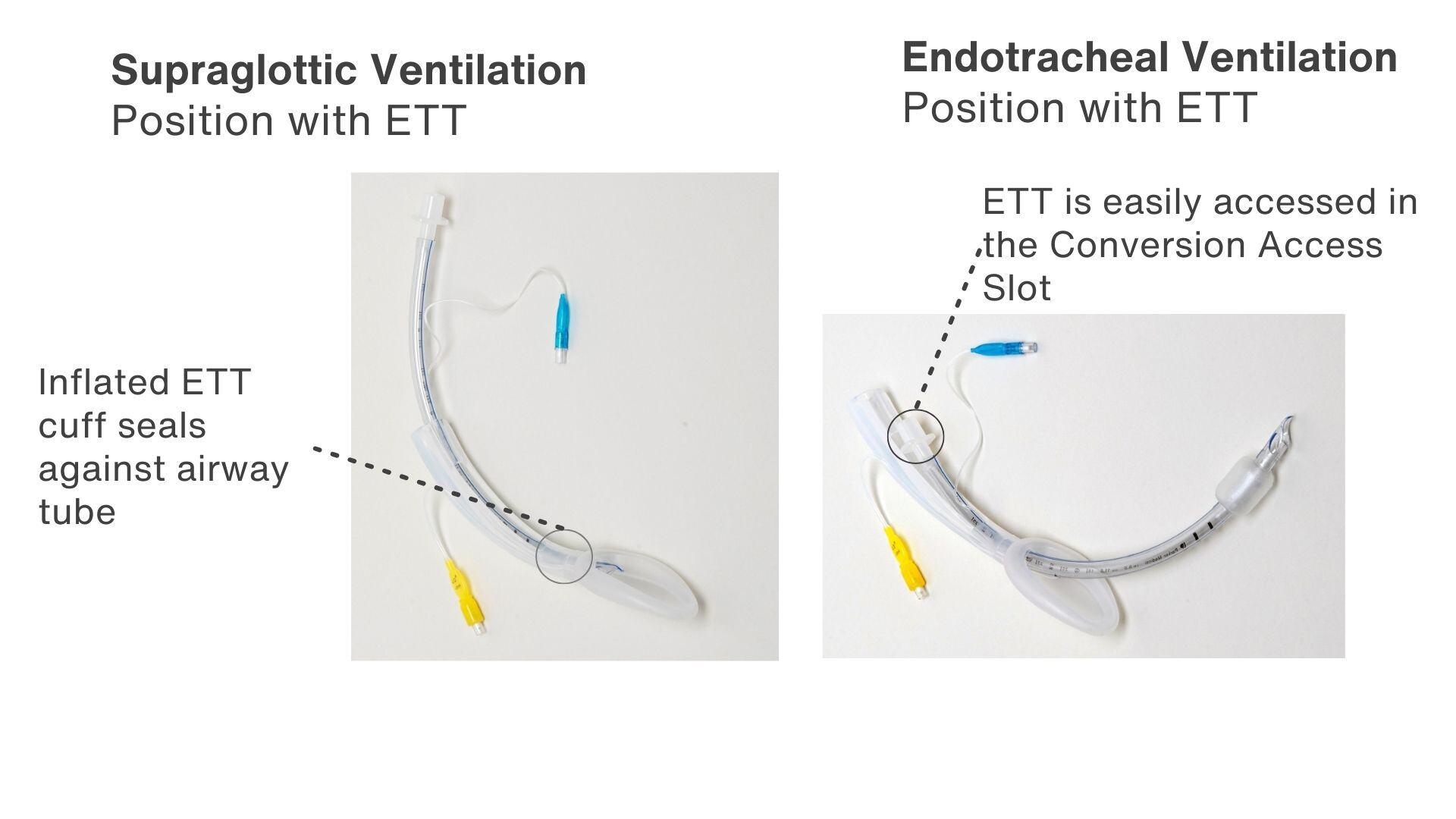 website image_Revised BK.pptx (1)