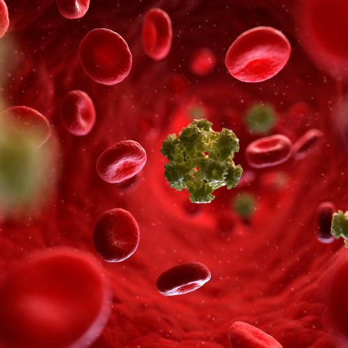 Canva Design DAGk85AwXx0