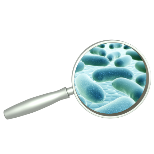 Canva Design DAGk87Hqhrg