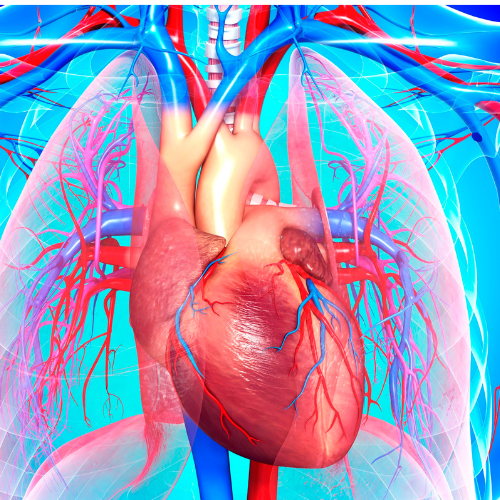 Canva Design DAGk8_kFRPM