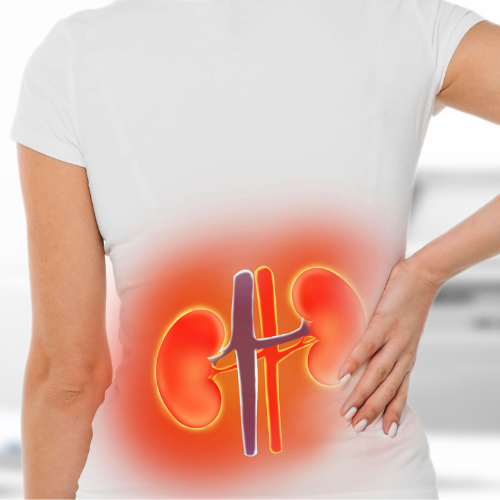 Canva Design DAGk8gcUMFc