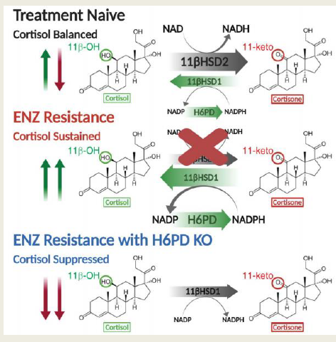 Screenshot 2025-10-10 171233 Screenshot 2025-10-10 171233